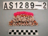 藏品(珠綴髮飾)的圖片